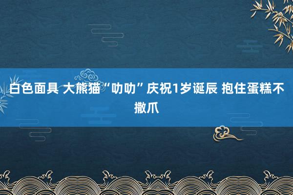 白色面具 大熊猫“叻叻”庆祝1岁诞辰 抱住蛋糕不撒爪