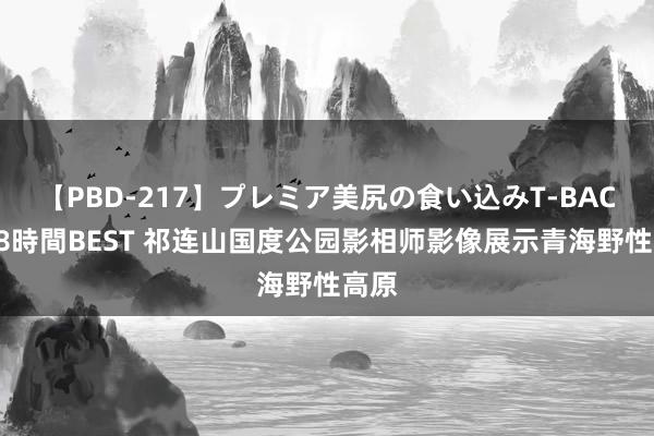 【PBD-217】プレミア美尻の食い込みT-BACK！8時間BEST 祁连山国度公园影相师影像展示青海野性高原