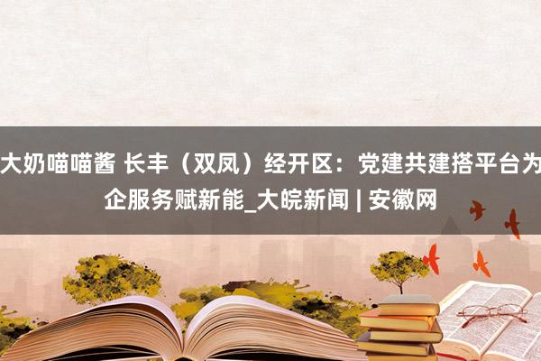 大奶喵喵酱 长丰（双凤）经开区：党建共建搭平台为企服务赋新能_大皖新闻 | 安徽网