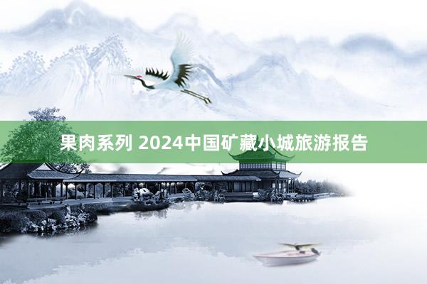 果肉系列 2024中国矿藏小城旅游报告