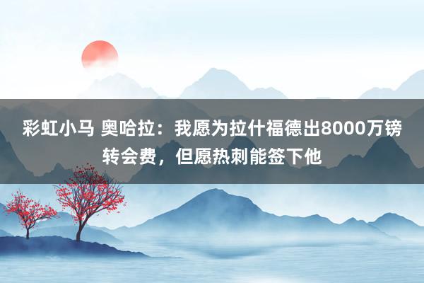 彩虹小马 奥哈拉：我愿为拉什福德出8000万镑转会费，但愿热刺能签下他