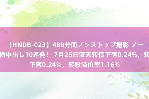 【HNDB-023】480分間ノンストップ撮影 ノーカット編集で本物中出し10連発！ 7月25日蓝天转债下落0.24%，转股溢价率1.16%