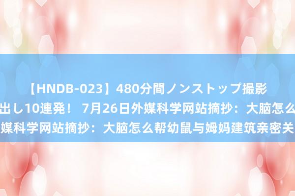 【HNDB-023】480分間ノンストップ撮影 ノーカット編集で本物中出し10連発！ 7月26日外媒科学网站摘抄：大脑怎么帮幼鼠与姆妈建筑亲密关系