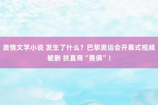 激情文学小说 发生了什么？巴黎奥运会开幕式视频被删 扶直商“畏俱”！