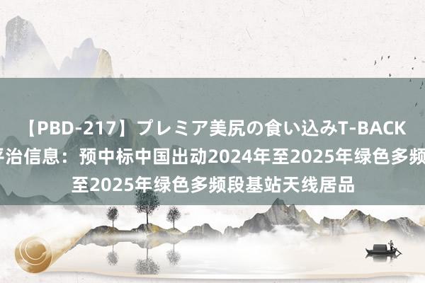 【PBD-217】プレミア美尻の食い込みT-BACK！8時間BEST 平治信息：预中标中国出动2024年至2025年绿色多频段基站天线居品