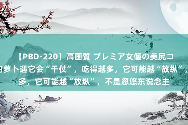 【PBD-220】高画質 プレミア女優の美尻コレクション8時間 白萝卜遇它会“干仗”，吃得越多，它可能越“放纵”，不是忽悠东说念主