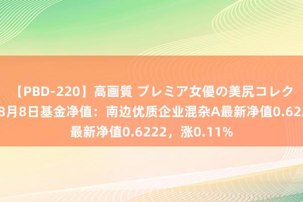 【PBD-220】高画質 プレミア女優の美尻コレクション8時間 8月8日基金净值：南边优质企业混杂A最新净值0.6222，涨0.11%