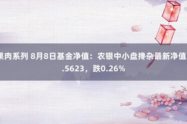 果肉系列 8月8日基金净值：农银中小盘搀杂最新净值2.5623，跌0.26%