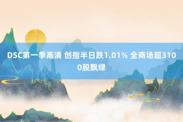 DSC第一季高清 创指半日跌1.01% 全商场超3100股飘绿