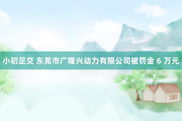 小初足交 东莞市广隆兴动力有限公司被罚金 6 万元