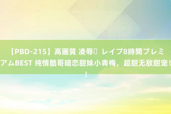 【PBD-215】高画質 凌辱・レイプ8時間プレミアムBEST 纯情酷哥暗恋甜妹小青梅，超甜无敌甜宠！