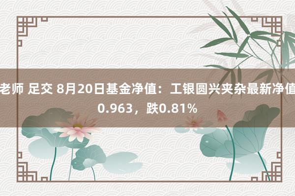 老师 足交 8月20日基金净值：工银圆兴夹杂最新净值0.963，跌0.81%