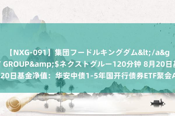 【NXG-091】集団フードルキングダム</a>2010-04-20NEXT GROUP&$ネクストグルー120分钟 8月20日基金净值：华安中债1-5年国开行债券ETF聚会A最新净值1.0859，跌0.02%