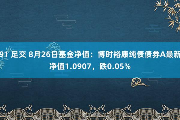 91 足交 8月26日基金净值：博时裕康纯债债券A最新净值1.0907，跌0.05%