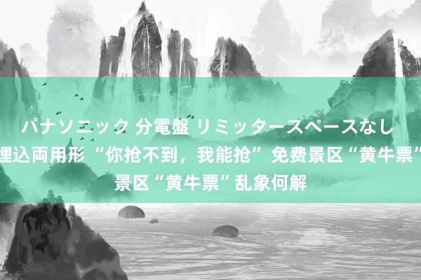 パナソニック 分電盤 リミッタースペースなし 露出・半埋込両用形 “你抢不到，我能抢” 免费景区“黄牛票”乱象何解