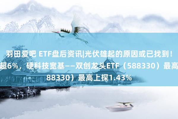 羽田爱吧 ETF盘后资讯|光伏雄起的原因或已找到！阳光电源涨超6%，硬科技宽基——双创龙头ETF（588330）最高上探1.43%