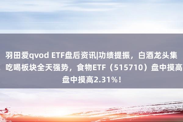 羽田爱qvod ETF盘后资讯|功绩提振，白酒龙头集体狂欢！吃喝板块全天强势，食物ETF（515710）盘中摸高2.31%！