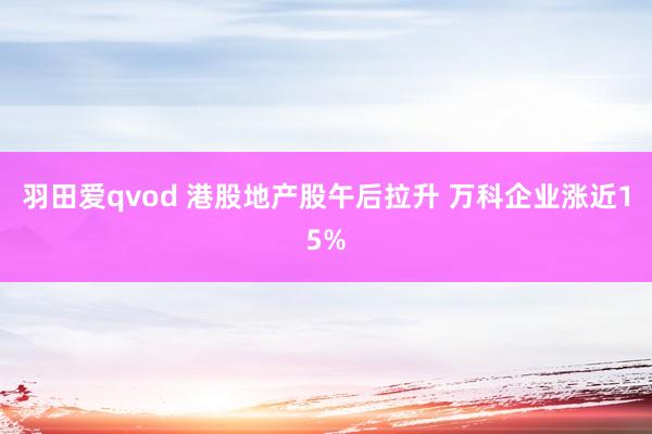 羽田爱qvod 港股地产股午后拉升 万科企业涨近15%