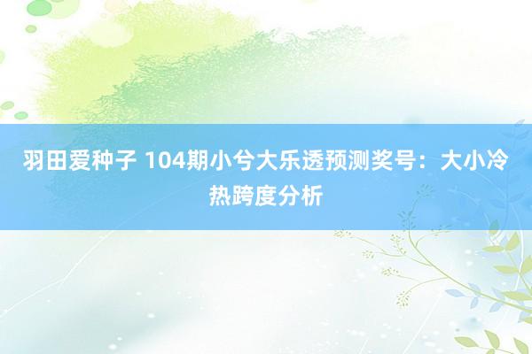 羽田爱种子 104期小兮大乐透预测奖号：大小冷热跨度分析