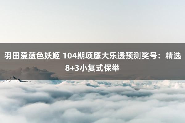 羽田爱蓝色妖姬 104期项鹰大乐透预测奖号：精选8+3小复式保举