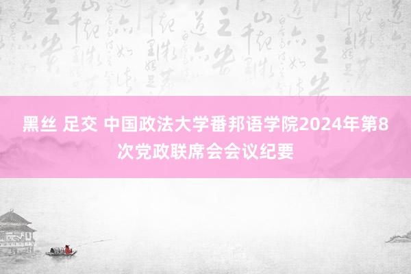 黑丝 足交 中国政法大学番邦语学院2024年第8次党政联席会会议纪要