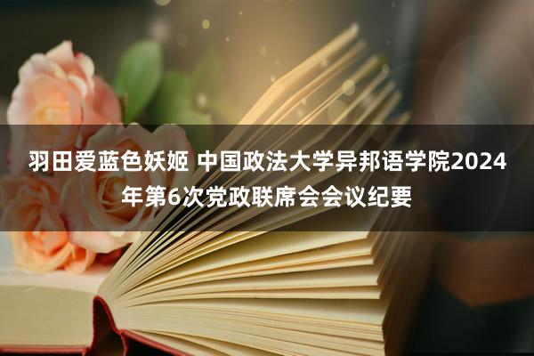 羽田爱蓝色妖姬 中国政法大学异邦语学院2024年第6次党政联席会会议纪要