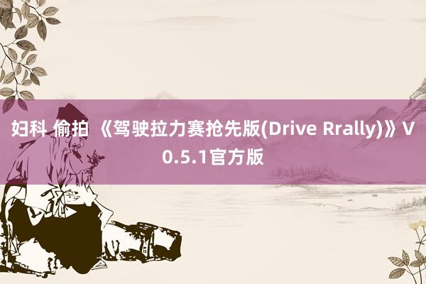 妇科 偷拍 《驾驶拉力赛抢先版(Drive Rrally)》V0.5.1官方版