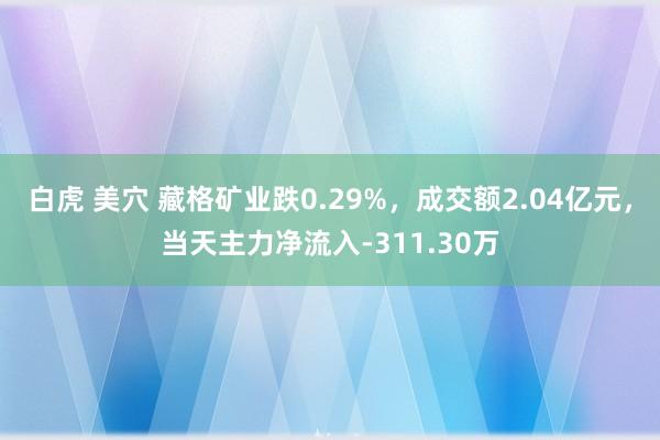 白虎 美穴 藏格矿业跌0.29%，成交额2.04亿元，当天主力净流入-311.30万