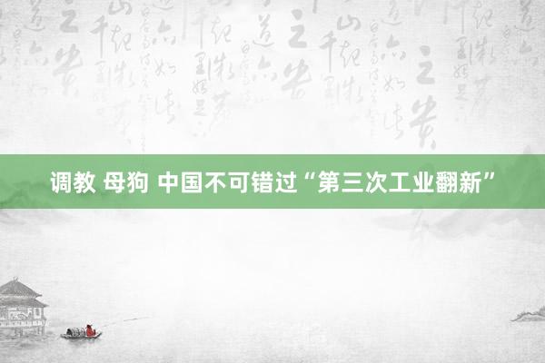 调教 母狗 中国不可错过“第三次工业翻新”