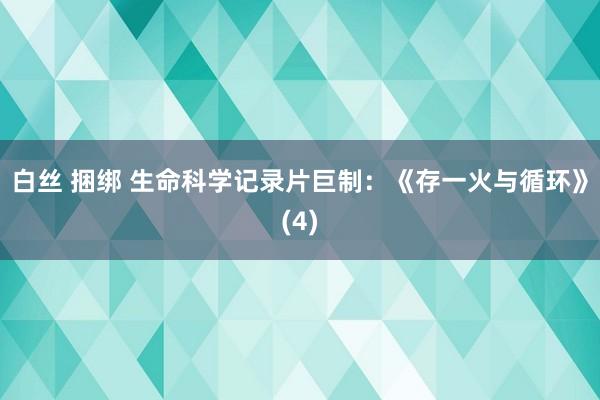 白丝 捆绑 生命科学记录片巨制：《存一火与循环》(4)