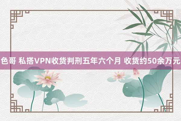 色哥 私搭VPN收货判刑五年六个月 收货约50余万元